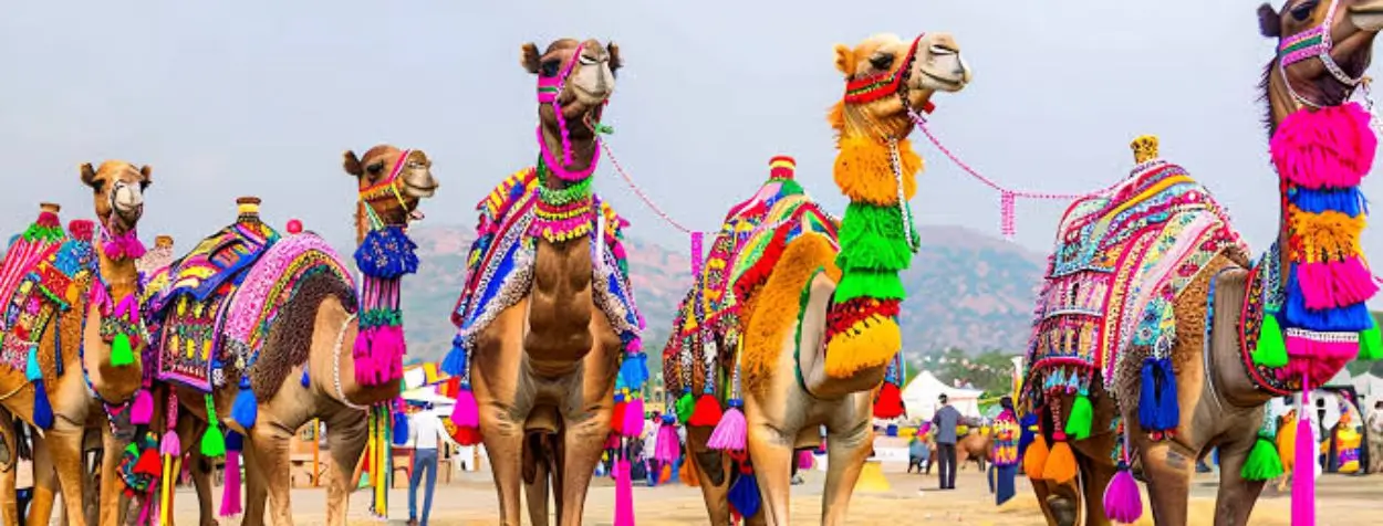 Rajasthan Cultural Tour