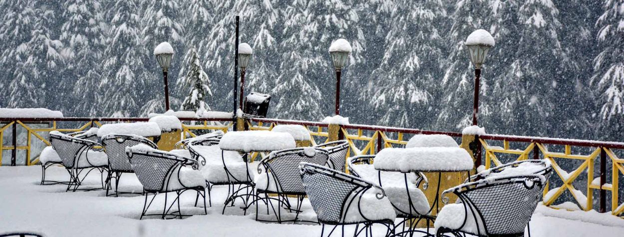 Shimla Manali And Taj Mahal